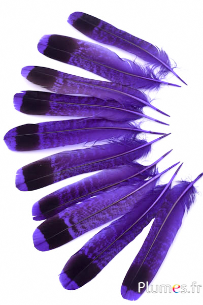 Gélinotte des bois - 11-13 cm - violet-noir